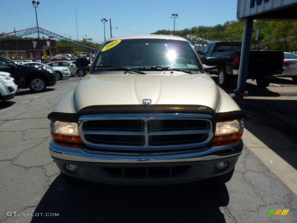 2003 Dakota SLT Quad Cab 4x4 - Light Almond Pearl / Taupe photo #4