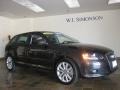 Meteor Grey Pearl Effect 2009 Audi A3 2.0T