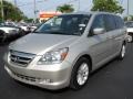 Silver Pearl Metallic - Odyssey Touring Photo No. 5
