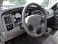 Taupe 2002 Dodge Ram 1500 SLT Quad Cab Steering Wheel