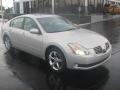 Liquid Silver Metallic - Maxima 3.5 SL Photo No. 1