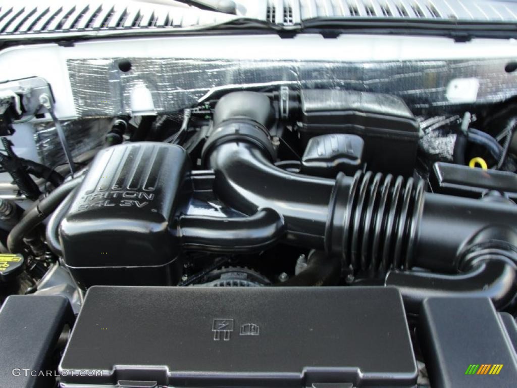 2010 Ford Expedition King Ranch 5.4 Liter Flex-Fuel SOHC 24-Valve VVT V8 Engine Photo #49128806