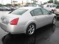 Liquid Silver Metallic - Maxima 3.5 SL Photo No. 11