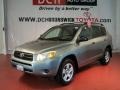 Everglade Metallic - RAV4 4WD Photo No. 1