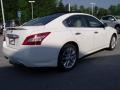 Winter Frost White - Maxima 3.5 SV Photo No. 5