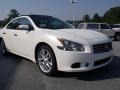 Winter Frost White - Maxima 3.5 SV Photo No. 7