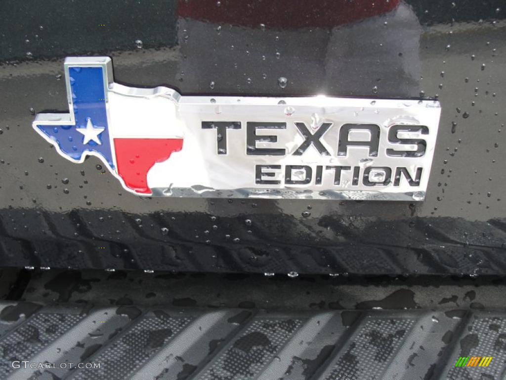 2011 F150 Texas Edition SuperCrew - Tuxedo Black Metallic / Steel Gray photo #18