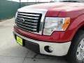 Red Candy Metallic - F150 XLT SuperCab Photo No. 10