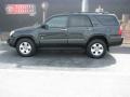 Shadow Mica - 4Runner SR5 Photo No. 1