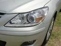 2011 Platinum Metallic Hyundai Genesis 4.6 Sedan  photo #9