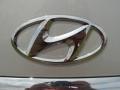 2011 Platinum Metallic Hyundai Genesis 4.6 Sedan  photo #15