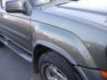 Canteen Green Metallic - Xterra SE V6 4x4 Photo No. 4