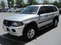 Munich Silver Metallic - Montero Sport LS 4x4 Photo No. 4