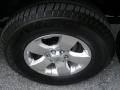 Radiant Silver Metallic - Frontier SE V6 King Cab Photo No. 11