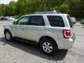 Ingot Silver Metallic - Escape Hybrid Limited 4WD Photo No. 4