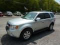 Ingot Silver Metallic - Escape Hybrid Limited 4WD Photo No. 5