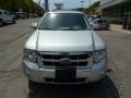 Ingot Silver Metallic - Escape Hybrid Limited 4WD Photo No. 6
