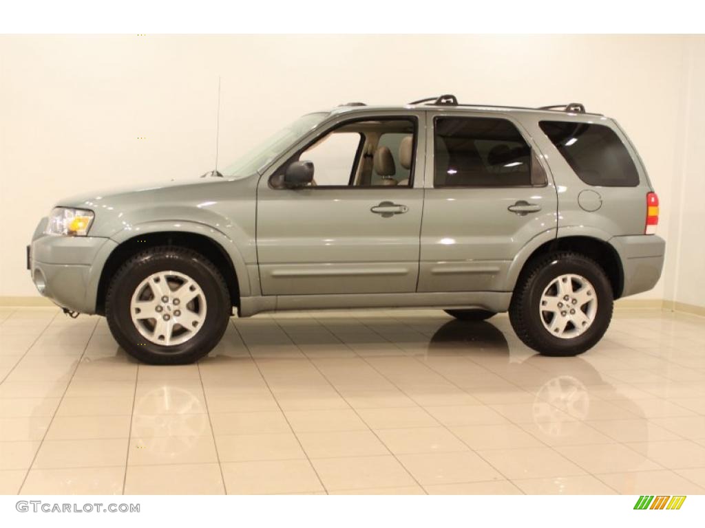 2006 Escape Limited 4WD - Titanium Green Metallic / Medium/Dark Pebble photo #4