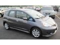  2011 Fit Sport Polished Metal Metallic