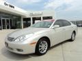 Millennium Silver Metallic - ES 330 Photo No. 1