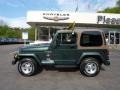 Shale Green Metallic - Wrangler Sahara 4x4 Photo No. 2