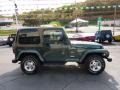 2002 Shale Green Metallic Jeep Wrangler Sahara 4x4  photo #6