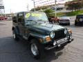 2002 Shale Green Metallic Jeep Wrangler Sahara 4x4  photo #7