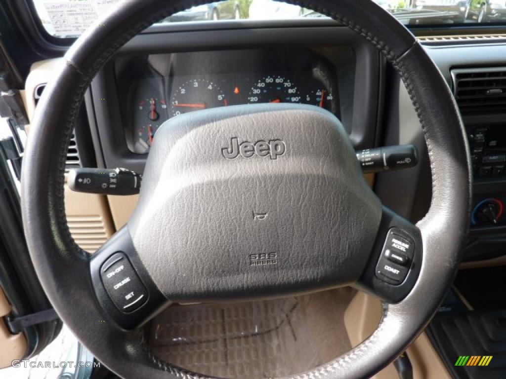 2002 Jeep Wrangler Sahara 4x4 Camel Beige/Dark Green Steering Wheel Photo #49183898