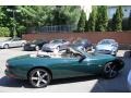British Racing Green - XK XK8 Convertible Photo No. 9