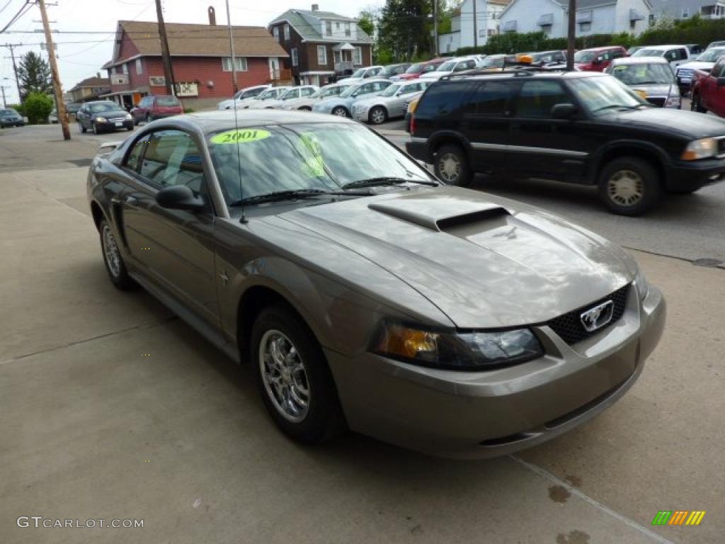 2001 Mustang V6 Coupe - Mineral Grey Metallic / Dark Charcoal photo #5