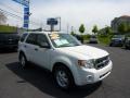 2009 White Suede Ford Escape XLT V6 4WD  photo #1