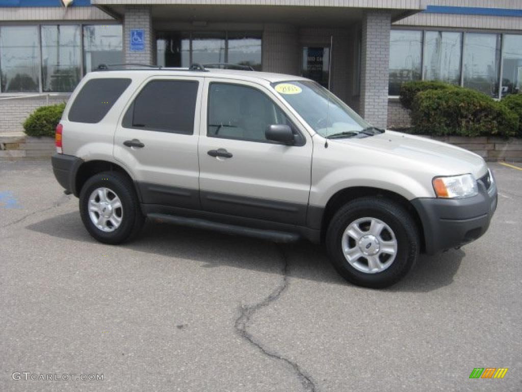 2003 Escape XLT V6 - Gold Ash Metallic / Medium Dark Flint photo #6