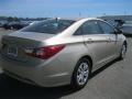 Camel Pearl - Sonata GLS Photo No. 2