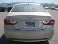 Camel Pearl - Sonata GLS Photo No. 13