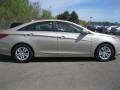 Camel Pearl - Sonata GLS Photo No. 14