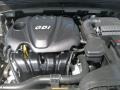 Camel Pearl - Sonata GLS Photo No. 22