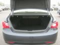 Pacific Blue Pearl - Sonata GLS Photo No. 6