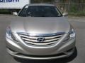Radiant Silver - Sonata GLS Photo No. 10