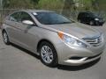 Radiant Silver - Sonata GLS Photo No. 15