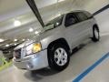 2006 Liquid Silver Metallic GMC Envoy SLT 4x4  photo #2