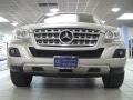 Pewter Metallic - ML 350 4Matic Photo No. 2