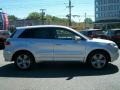 Alabaster Silver Metallic - RDX Technology Photo No. 2