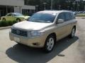 Sandy Beach Metallic - Highlander Limited Photo No. 1