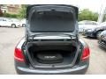 Black Trunk Photo for 2008 Audi A4 #49237125