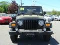 2004 Black Jeep Wrangler X 4x4  photo #2