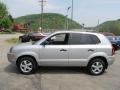 2007 Platinum Metallic Hyundai Tucson GLS  photo #5