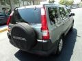Satin Silver Metallic - CR-V EX 4WD Photo No. 3