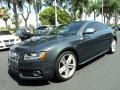 Meteor Grey Pearl Effect 2009 Audi S5 4.2 quattro Exterior