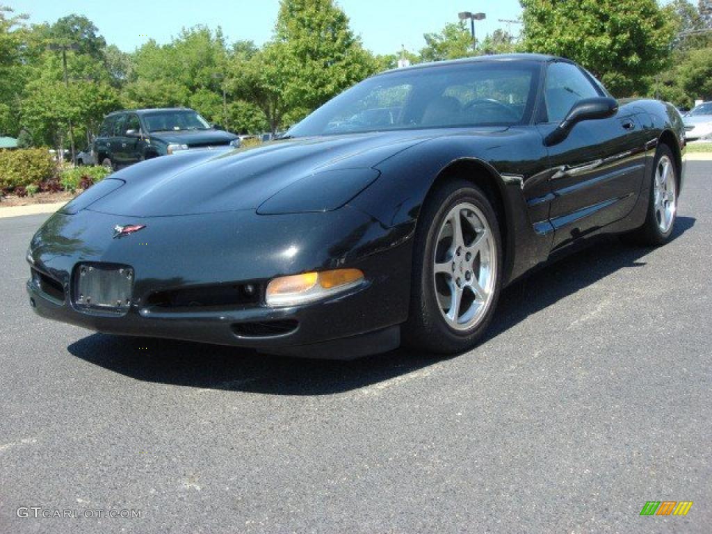 2002 Corvette Coupe - Black / Light Gray photo #1