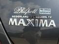 Dark Slate Metallic - Maxima 3.5 SL Photo No. 21